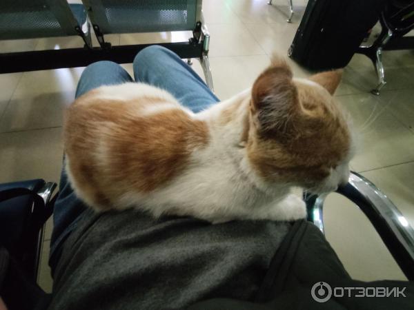 Бухара вокзал