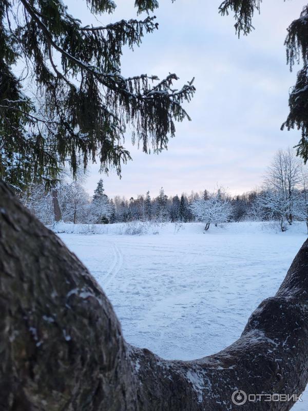 Отзыв о Жилой комплекс "Северная долина" (Россия, Санкт-Петербург ...