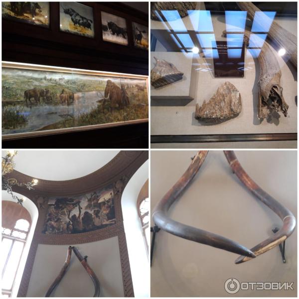 Отзыв о Государственный Исторический музей в Москве (Россия, Москва ...