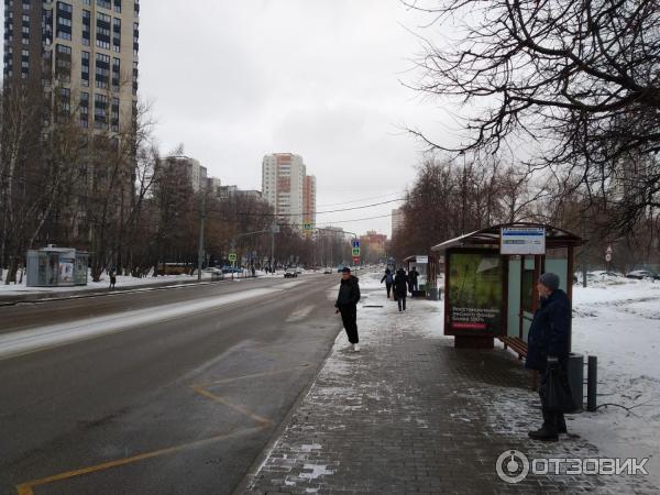 Автобусный маршрут №443 Мострансавто фото