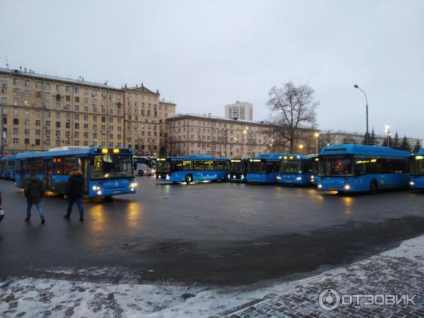 Автобусный маршрут №443 Мострансавто фото