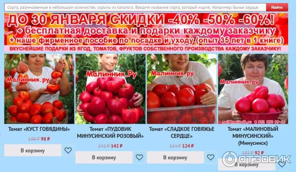 Интернет магазин малинник семена томатов Интернет магазин малинник семена томатов