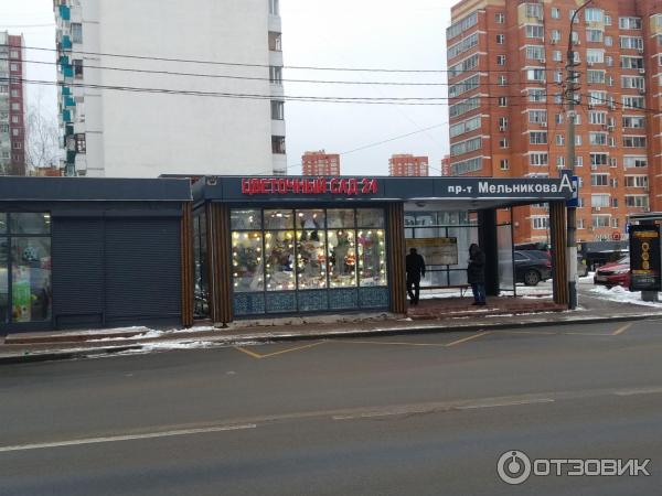 Автобусный маршрут №443 Мострансавто фото