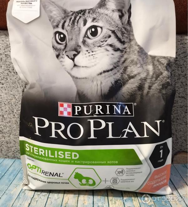 Purina. Кот в корме Сигма. Pro plan для кошек стерилизованных 10 кг