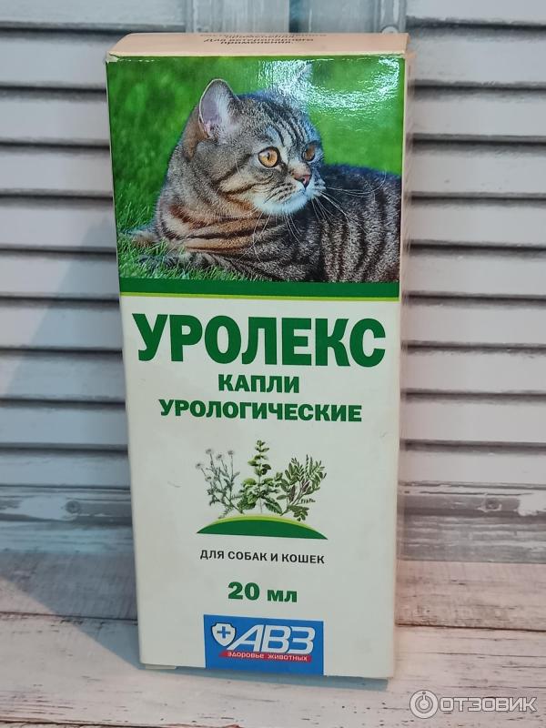 Гепасейф для собак. Капли авз уролекс для собак и кошек. Уролекс отзывы. Препарат уролекс для животных, авз капли урологические 20 мл. Вет препарат уролекс для собак авз капли урологические 50 мл.