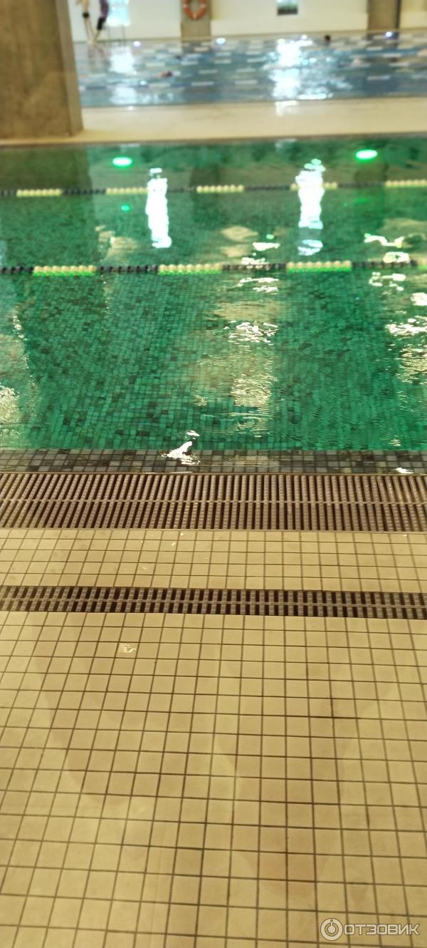 Ohana fitness некрасовка