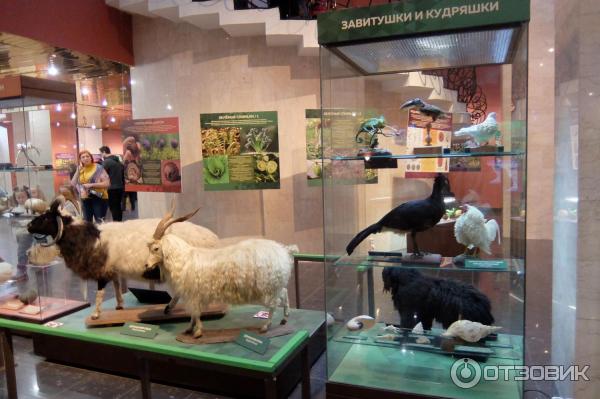 музей дарвина презентация. московский государственный дарвиновский музей. живая экспозиция дарвиновского.