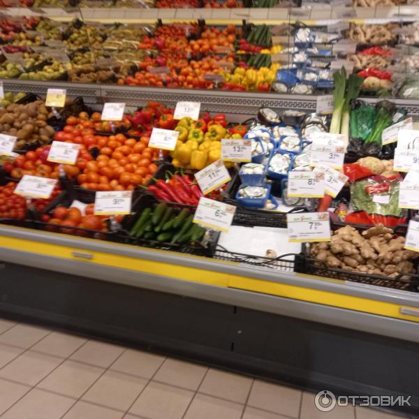 Магазин Дионис (Беларусь, Гомель) фото