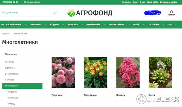 Экоэнерготех. Агрофонд интернет магазин саженцев. Магазин бонус тамбов. Агрофонд интернет магазин. Глифовит экстра.