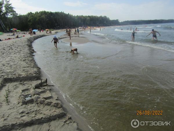 Отзыв о Пляжи Зеленоградска (Россия, Калининградская область ...