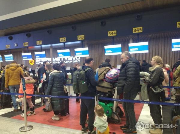 Как перейти из терминала с в терминал b в шереметьево. Инструкция. Отзыв