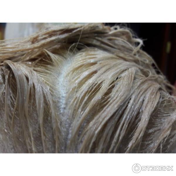Отзыв о Осветлитель для волос L'Oreal Preference Platinum | Поможет ...