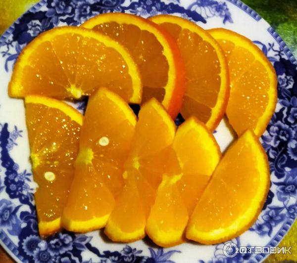Отзыв о Апельсины Citrus | Очень сочные апельсины