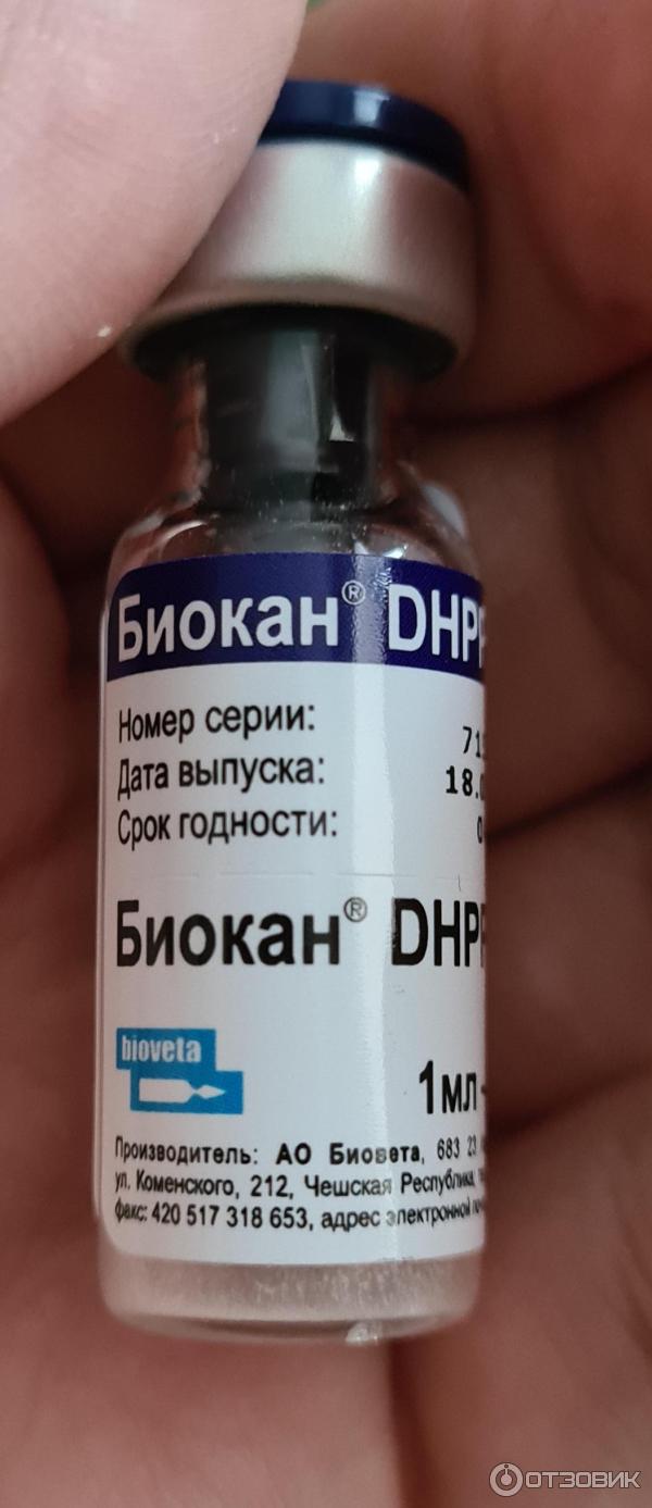 Прививка биокан для щенков. Биокан DHPPI. Как делают прививку собаке Биокан