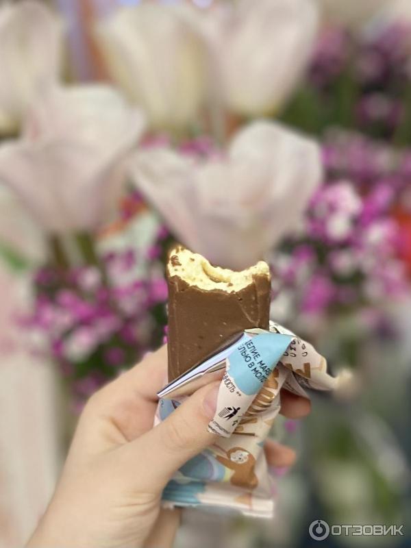 Отзыв о Батончик SOJ Marshmallow с соленой карамелью в молочном ...