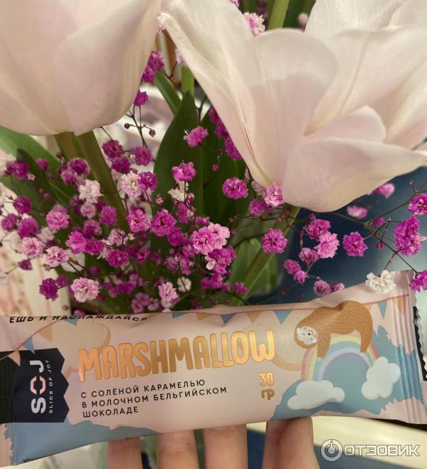 Отзыв о Батончик SOJ Marshmallow с соленой карамелью в молочном ...