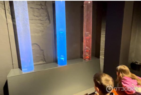 Отзыв о Музей "Экспериментаниум" (Россия, Москва) | Потрясающее место