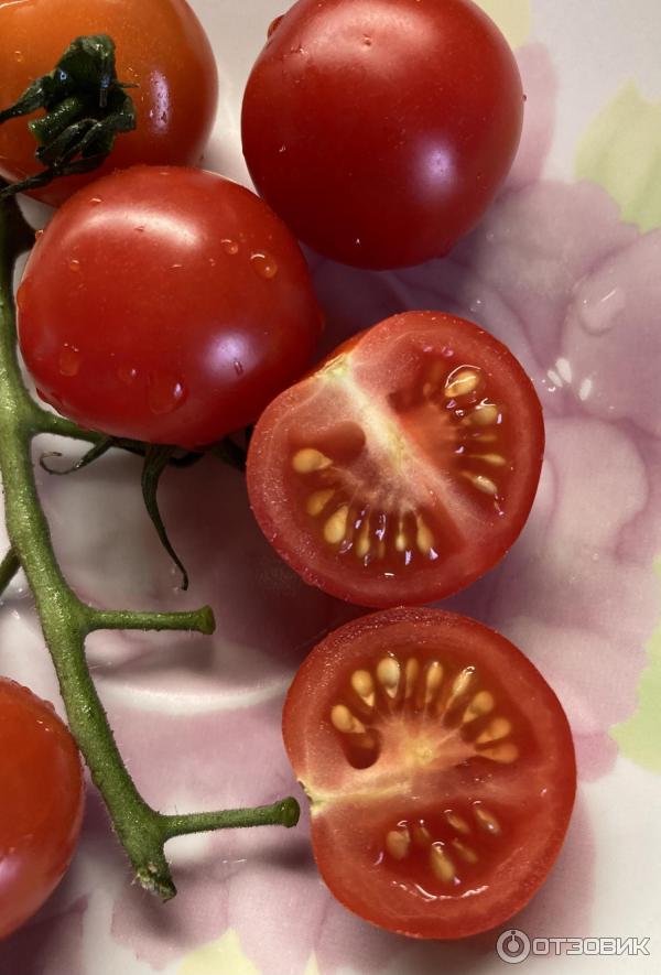 горячий помидор. горячий помидор. горячий помидор. термальные помидоры. томат горячее сердце.